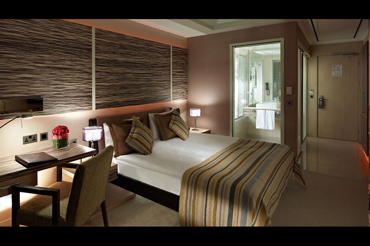 Cratos Premium Hotel & Port & SPA Standart Room